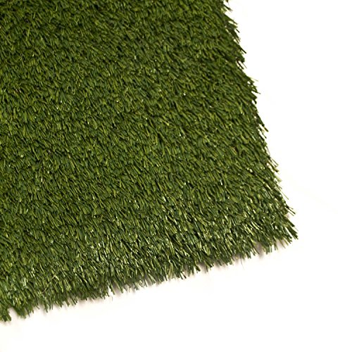 ALEKO 2x3 Feet 6 square feet IndoorOutdoor Artificial Garden Grass W Shape Monofil PE