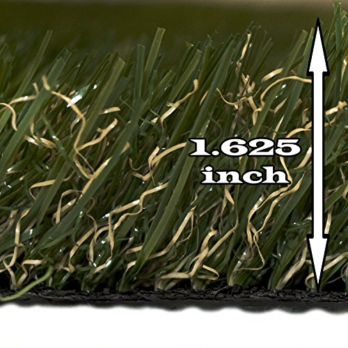 ALEKO AG2X3CS 6 Square Feet Roll 2X3 Feet of IndoorOutdoor Artificial Garden Grass C Shape Monofil PE