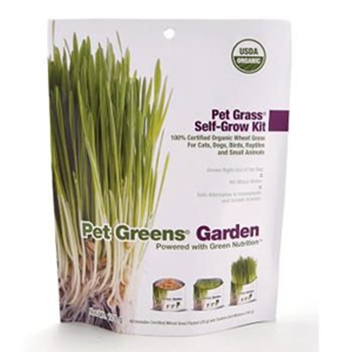 Bellrock Growers Pet Greens Garden Self Grow Pet Grass Kit