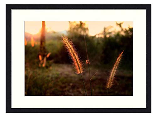 OiArt Wall Art Canvas Prints Wood Framed Paintings Artworks Pictures20x14 inch - Flowering Grass Mead Nature Grass by Nature