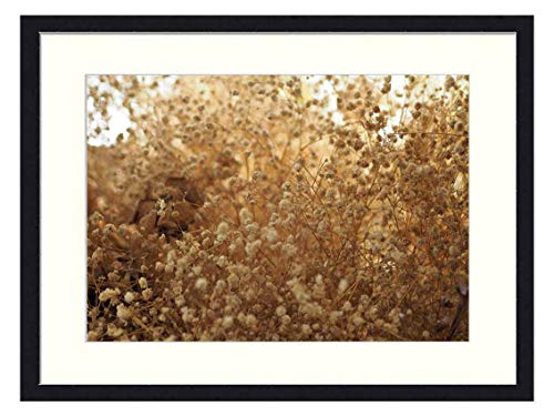 OiArt Wall Art Print Wood Framed Home Decor Picture Artwork24x16 inch - Dried Flowers Flowering Grass Decorate Nature