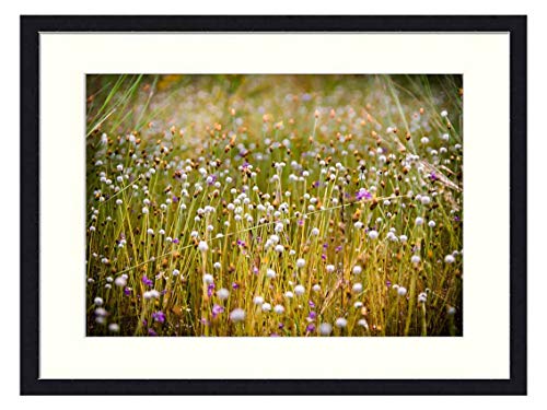 OiArt Wall Art Print Wood Framed Home Decor Picture Artwork24x16 inch - Flowering Grass Grass Flowers by Nature Flower