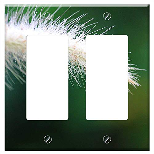 Switch Plate Double RockerGFCI - Flowering Grass Nature A Blade Of Grass By Nature