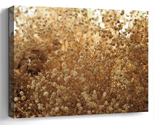 Wall Art Canvas Print Photo Artwork Home Decor 24x16 inches- Dried Flowers Flowering Grass Decorate Natur
