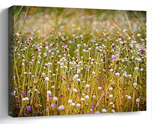 Wall Art Canvas Print Photo Artwork Home Decor 24x16 inches- Flowering Grass Grass Flowers by Nature Flow