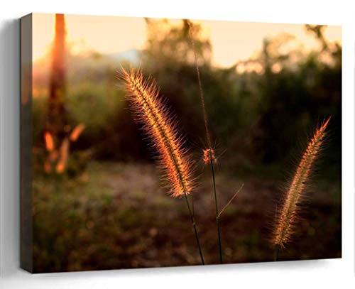 Wall Art Canvas Print Photo Artwork Home Decor 24x16 inches- Flowering Grass Mead Nature Grass by Nature