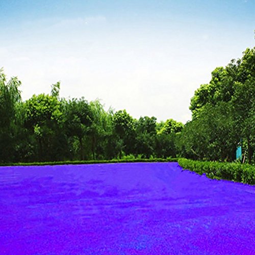 500Pcs Grass Seeds Lawn Perennial Garden Soccer Court Field Villa Outdoor Plant - Purple Grass Seeds