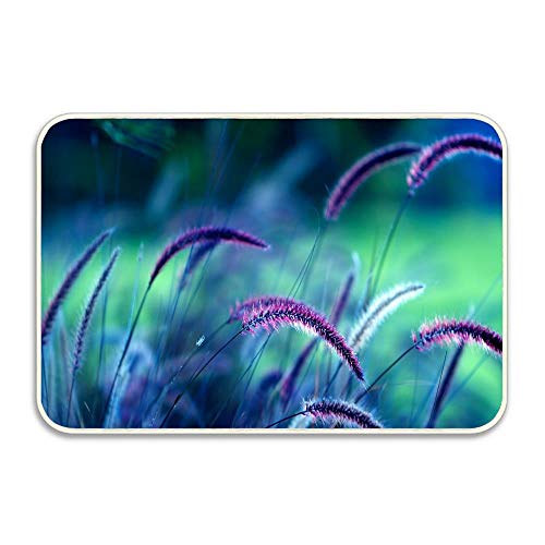 Huayuanhurug Purple Grass Bath Rugs Non-Slip Rectangle Floor Entryways Outdoor Indoor Front Door Mat16X24 Inches