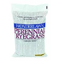 Barenbrug Usa 22205 Perennial Ryegrass Grass Seed