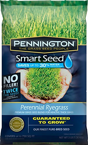 Pennington Smart Seed Perennial Ryegrass Blend 3 Lb