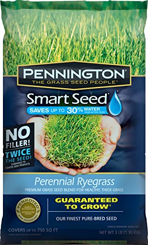 Pennington Smart Seed Perennial Ryegrass Blend 3 Lb