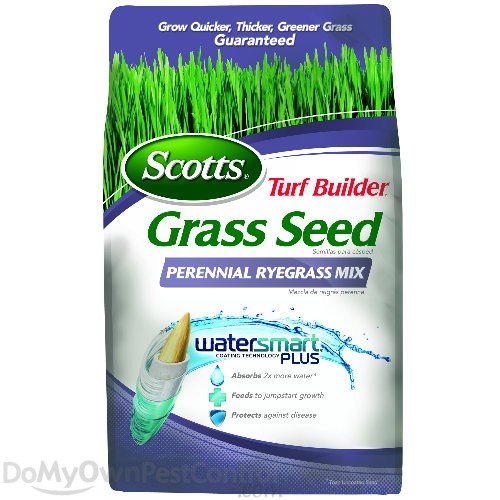 Scotts Turf Builder Grass Seed Perennial Ryegrass Mix 3 lbs