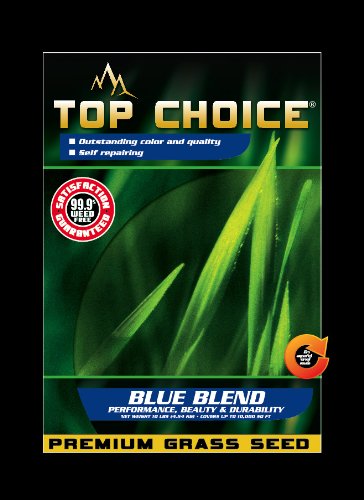 Top Choice 17643 Kentucky BluePerennial Ryegrass Grass Seed Mixture 10-Pound