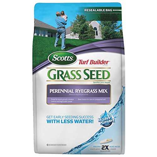 Turf Builder Perennial Ryegrass Mix