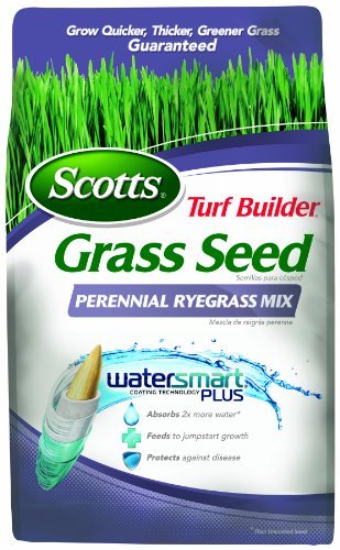 Turf Builder Perennial Ryegrass Mix