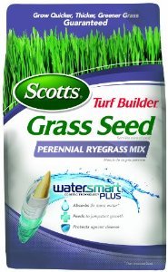 Turf Builder Perennial Ryegrass Mix