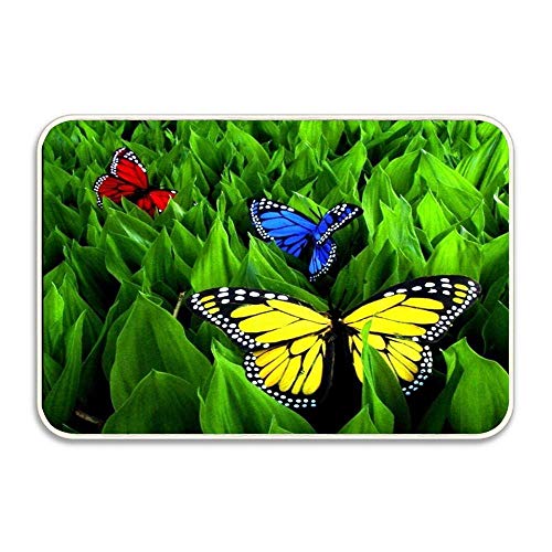 Colorful Grass Bright Butterflys with Animation Doormat Non-Slip Mat 16 24 inch Doormat Mountain Llama Non-Slip Rug - Collection Kitchen Dining Living Hallway Bathroom Pet Entry Rug