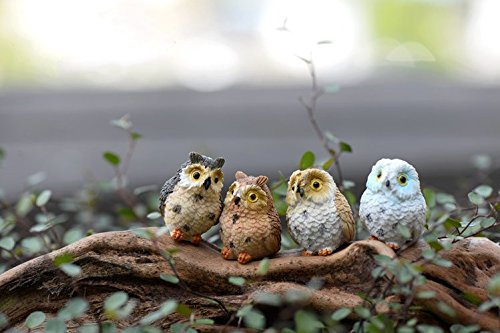 Sun-e Miniature Garden Owl Ornament Outdoor Decor 4 Pieces In Set