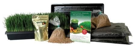 Certified Organic Wheatgrass Growing Kit - Growamp Juice Wheat Grass Trays Seed Soil Instructions Wheatgrass