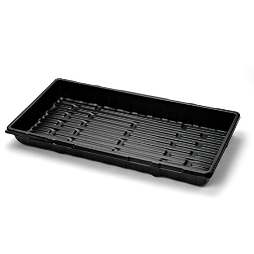 Extra Strength Seedling Propagation Tray no Drain Holes - 20&quot X 10&quot 5 Pack For Growing Microgreens Wheatgrass