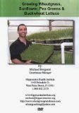 Growing Wheatgrass Sunflower Pea Greensamp Buckwheat Lettuce Dvd - By Michael Bergonzi