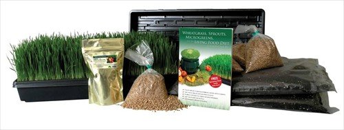 Hydroponic Organic Wheatgrass Growing Kit - Grow Wheat Grass Without Dirt  Soil - Complete Grow Kit