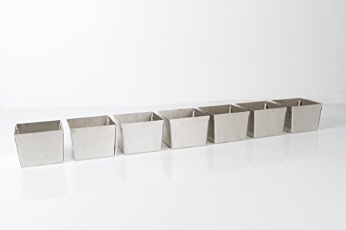 Wheatgrass Stainless Steel Daily Tray System Growing Trays