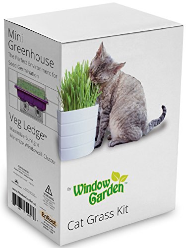Window Garden Cat Grass Kit For Growing Your Cat A Healthy Treat Includes The Popular Space Saving Veg Ledge