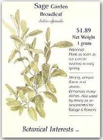 Sage Garden Broadleaf Perennial Seeds - 1 Gram - Salvia