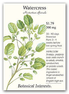 Watercress Seeds - 250 mg - Perennial Herb