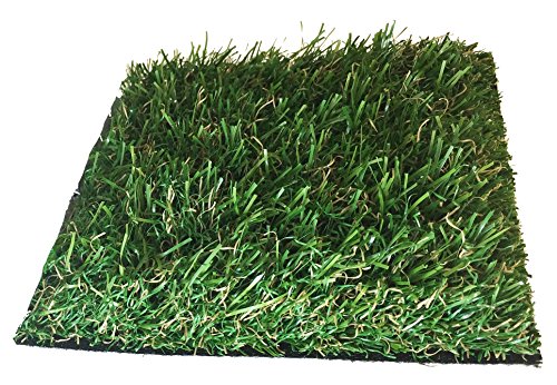 Premium 15 Feet x 10 Feet 150 SQ FT- 40 Oz Face Weight20 Oz Backing - PREMIUM SYNTHETIC TURF - Indoor  Outdoor Green Two-Toned Artificial Grass w New Color Natural Tan Thatch and Drainage Holes