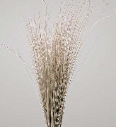 dried grass natural 8 oz bag - size 35 to 40