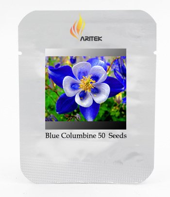 Rare Aquilegia Blue Columbine Perennial Flower Seeds Professional Pack 50 Seeds  Pack Very Beautiful Garden Flower E3370