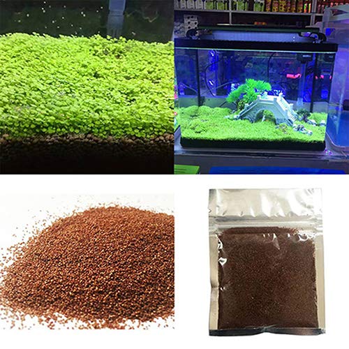 Home Decor Plants Flowers Seeds Fish Tank Aquarium Plant Seeds Aquatic Water Grass Decor Garden Foreground Plant - 1bag