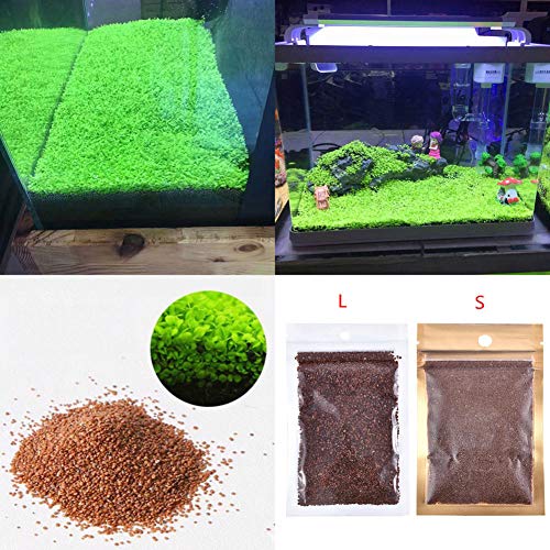 ocijf179 Fish Tank Aquarium Plant Seeds Aquatics Green Leaves Carpet Water Grass DecorSuitable KitchenBalconyLiving RoomGarden Decoration Love Grass