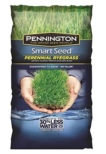 Pennington Smart Seed Perennial Ryegrass Blend 7 Lb