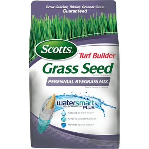 Scotts Turf Builder Grass Seed - Perennial Ryegrass Mix 3-Pound Not Sold in Louisiana