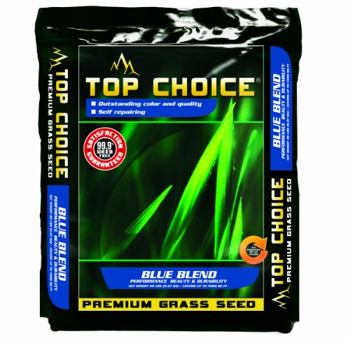 Top Choice 17642 Kentucky Blueperennial Ryegrass Grass Seed Mixture 20-pound