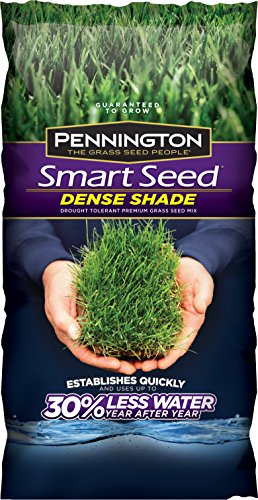 Pennington Smart Seed Dense Shade Premium Grass Seed 3-Pound