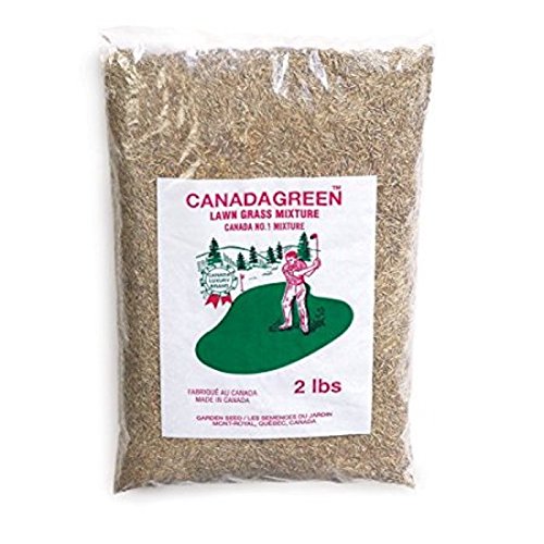 Canada Green Grass Lawn Seed-4 Lbs Bag