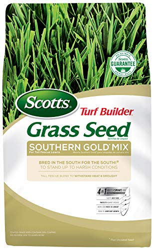 Scotts Turf Builder Grass Seed Southern Gold Mix For Tall Fescue Lawns - 20 lb Thrives In Harsh Summer Conditions Heat Drought Insect And Disease Resistant Covers up to 5000 sq ft