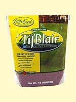 Centipede Grass Seeds Tifblair Certified 1 LB - 4000 Sq Ft Coverage