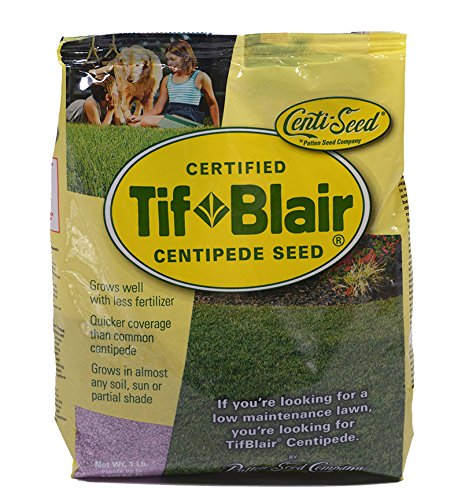 TifBlair Centipede Grass Seed 1 Lb Direct from The Farm
