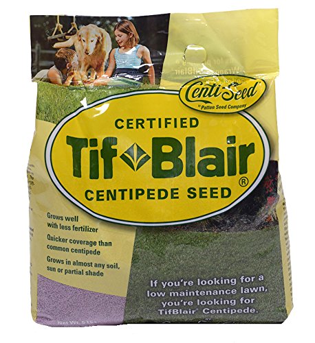TifBlair Centipede Grass Seed 5 Lb Direct from The Farm