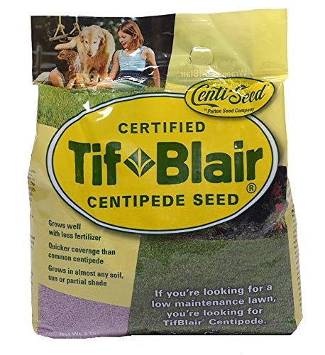 Tifblair Centipede Grass Seed Certified 12 lb
