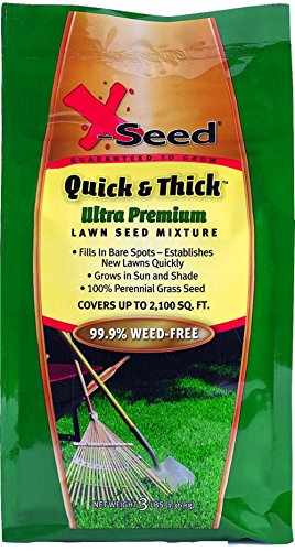 X-Seed Quick Thick Southern Lawn Seed Mixture 3 lb Green