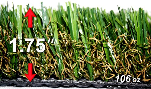 StarPro SPG-100 365sf Greatest Centipede SW Premium Natural Artificial Synthetic Grass Lawn Turf 30ftx15ft