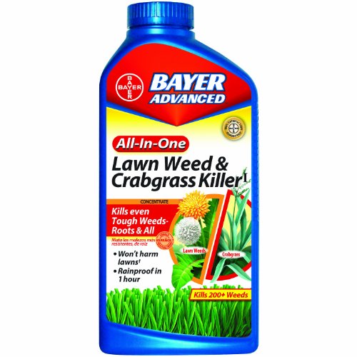 Bayer Advanced 704140 All-in-One Lawn Weed and Crabgrass Killer Concentrate 40 Ounce