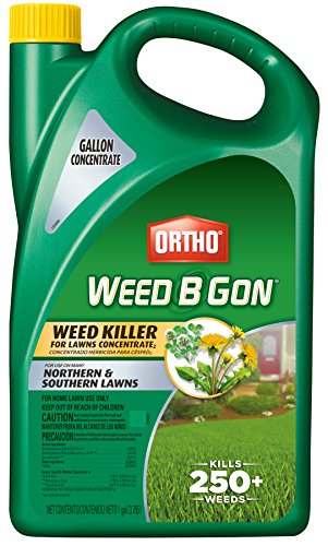 Ortho Weed B Gon Weed Killer For Lawns Concentrate 1-gallon