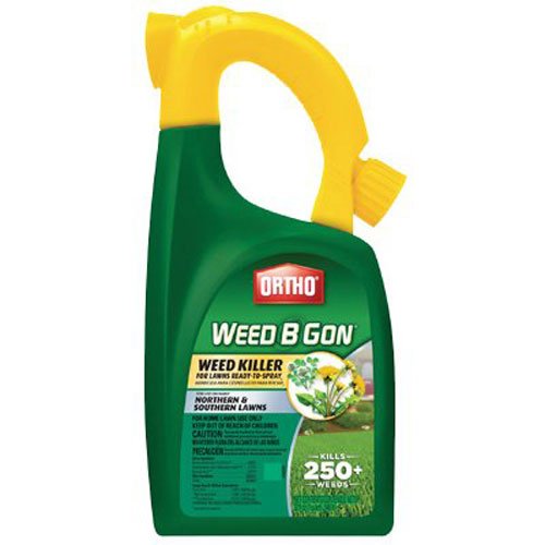 Ortho Weed B Gon Weed Killer for Lawns RTS